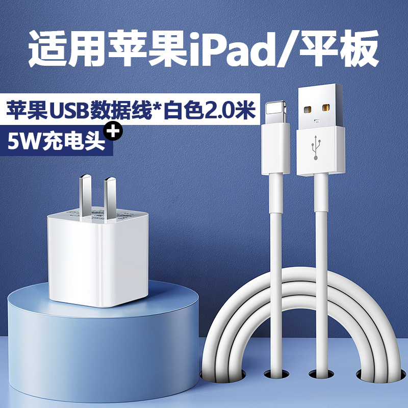 适用苹果ipadpro充电器头mini5/4/3/2平板12w快充usb数据线air3/2 【5W充电头+苹果USB数据线2.0米】