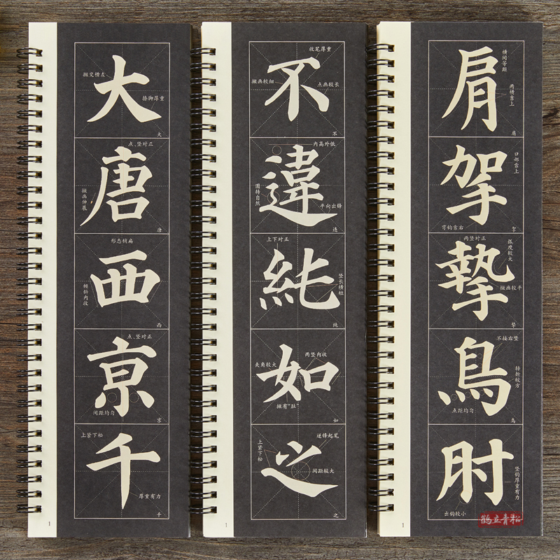 [正版]共3本 颜真卿多宝塔碑 全文米字格高清修复放大版简体旁注 名家碑帖近距离临摹字卡 颜体楷书毛笔字帖字卡高清大图