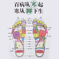 2盒]可孚艾灸艾贴睡眠脚底正品老北京艾草贴艾叶艾足贴