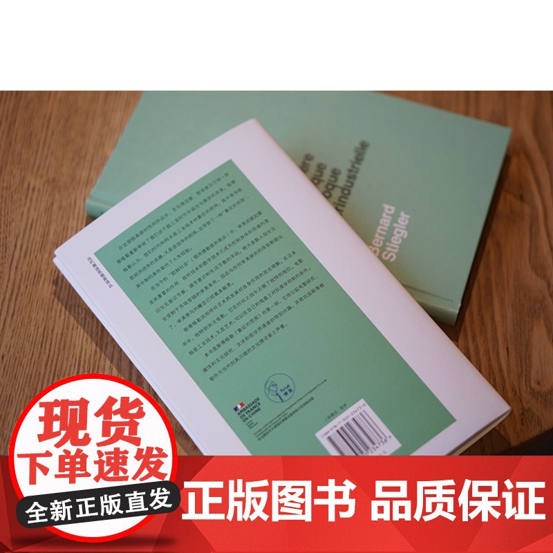 象征的贫困1 超工业时代 当代激进思想家译丛 折射集 [法] 贝尔纳·斯蒂格勒著 超工业时代中政治与美学的关系 南京大学高清大图