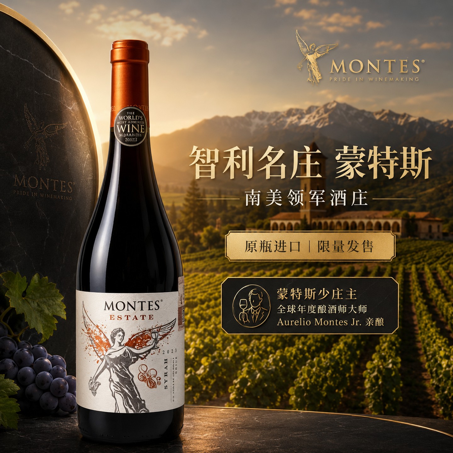 蒙特斯Montes天使庄园西拉干红葡萄酒750ml*6瓶 智利原瓶进口红酒高清大图