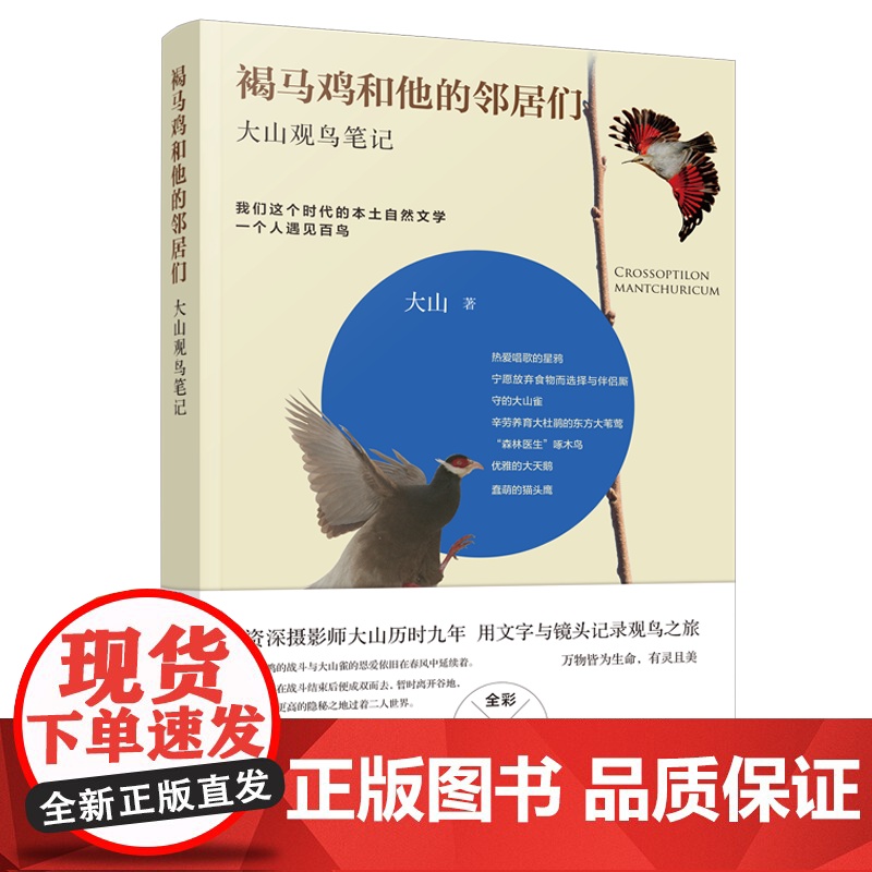 和他的邻居们:大山观鸟笔记高清大图