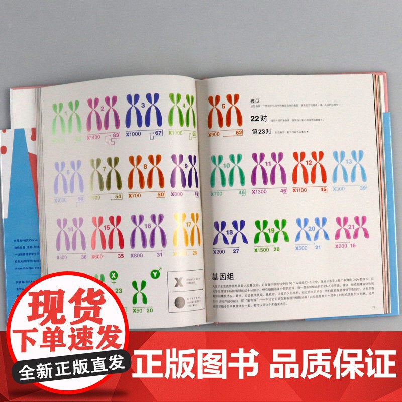 [正版书籍]人体信息图 身体小宇宙漫游指南 史蒂夫帕克 人体大百科全书 用信息图生动直观解读人体趣味的百科故事 科普读物高清大图