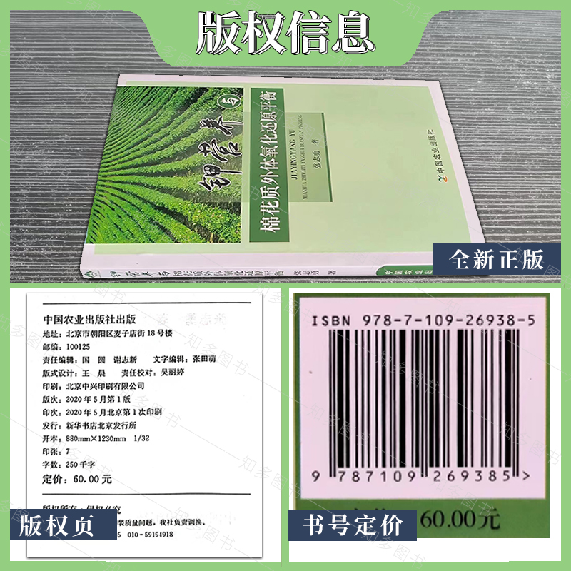 [醉染正版]钾营养与棉花质外体氧化还原平衡 张志勇 著 棉花种植业 专业科技 中国农业出版社 978710926938高清大图