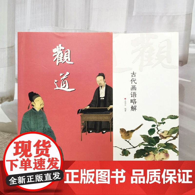 观道 古代画语略解 艺术理论与评论中国美术经典画语译注解赏悟名家画集绘画作品教程鉴赏书籍全新正版王伟生著福建美术出版社高清大图
