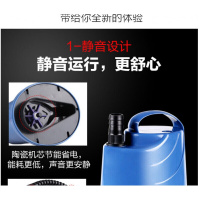 BONJEAN220V小型潜水泵 排污泵家用大流量家用鱼缸吸粪抽水浇花浇菜定制定制 15W小型潜水泵