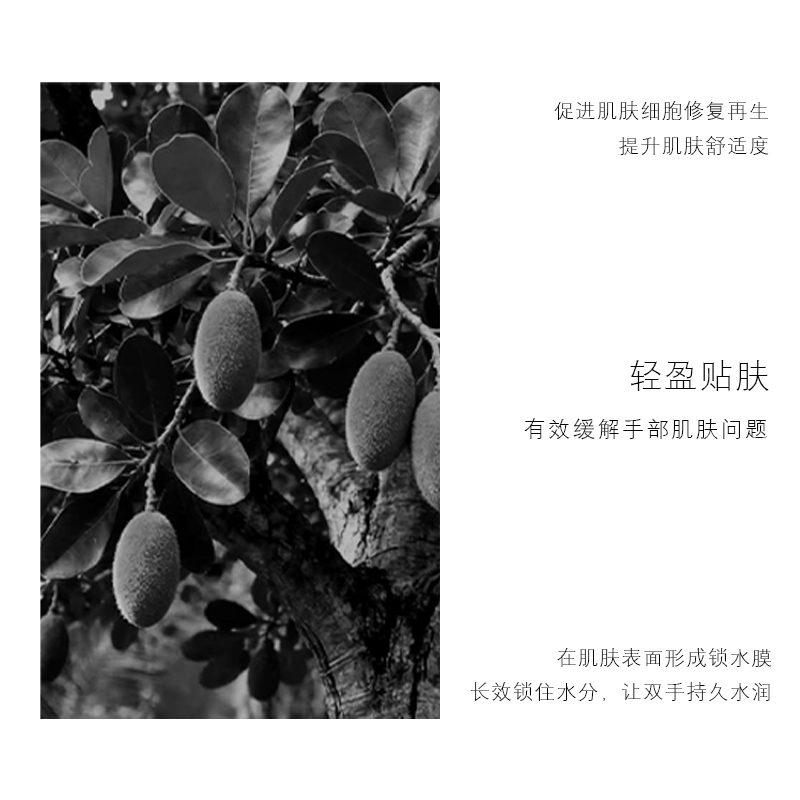 SHENGSIYAN圣妍思雾野玫瑰护手霜高清大图