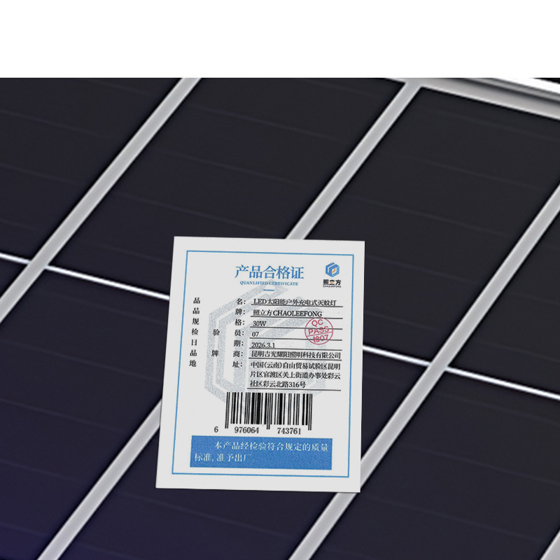 照立方 CHAOLEEFONG LED太阳能户外充电式灭蚊灯 30W 个高清大图