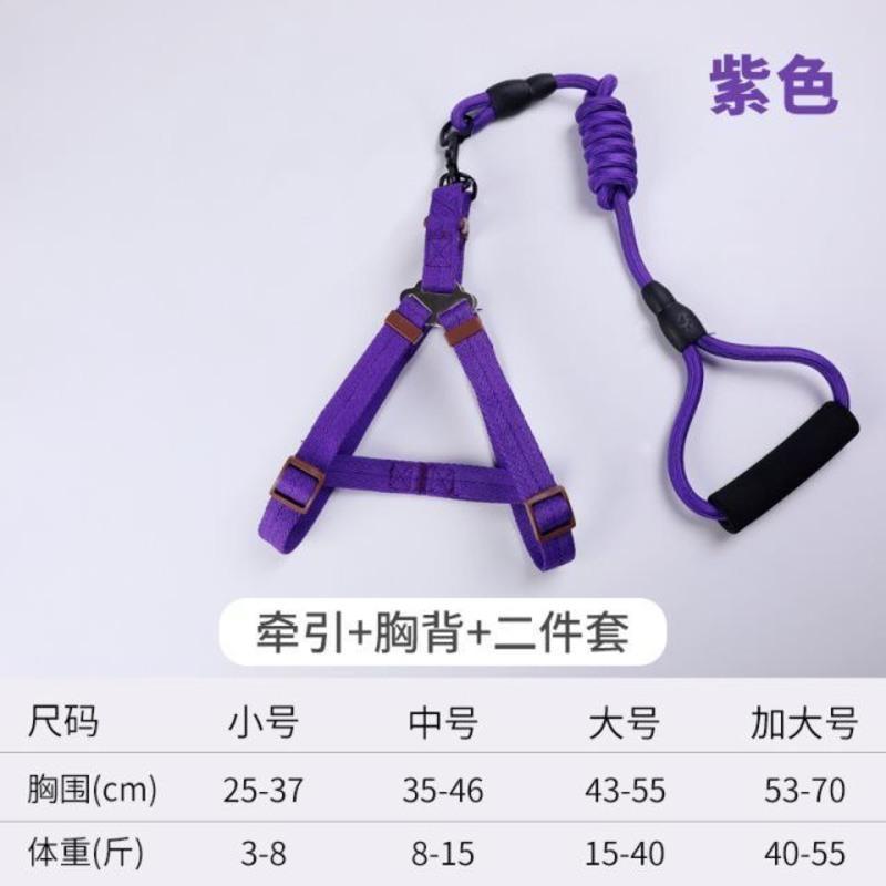 .狗狗牵引绳小中型犬狗绳子狗链子遛狗绳项圈脖圈泰迪猫咪宠物用 橙色2件套 S#33-48建议3-6斤使用