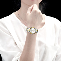 钻石牌（DIAMOND）手表女士自动机械表女表镶钻日历防水精钢8040女白面间金钢带