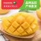 百果园公司 A级-鹰嘴芒（大果）约5斤普通装 单果重≥200g 时令芒果