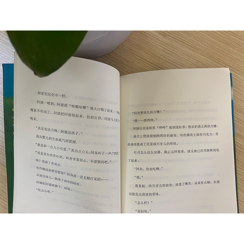 醉染图书月芽儿9787305248382高清大图