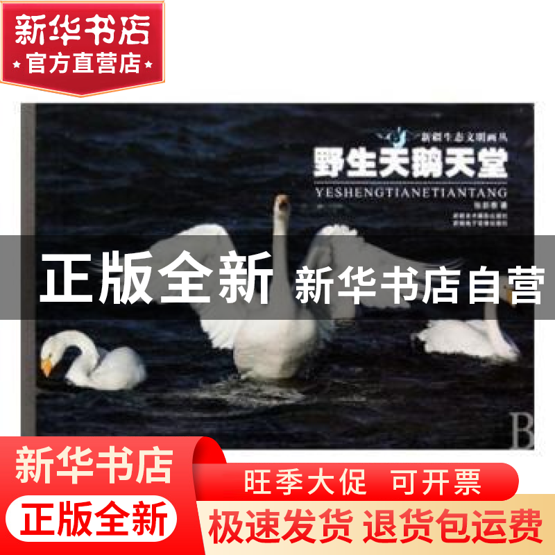 正版 野生天鹅天堂 张新泰著 新疆美术摄影出版社 9787546901893