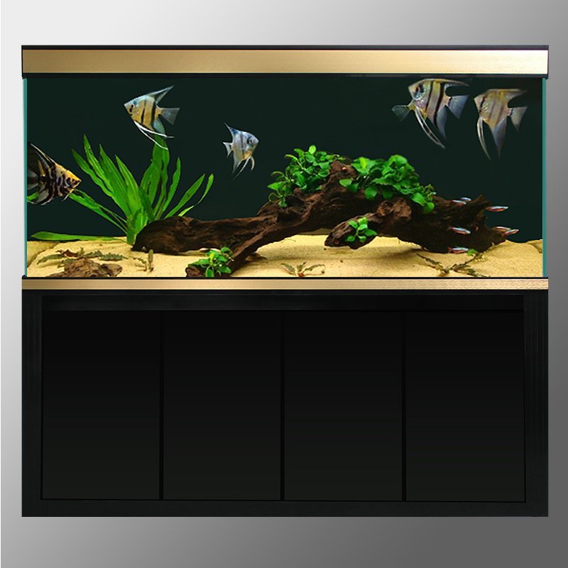超白玻璃龙鱼缸中大型鱼缸水族箱底滤生态大鱼缸1.2米1.5米高清大图