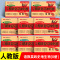 [2册]政史·人教版 七年级上 [正版]初中期末复习冲刺卷100分七八年级上册下册语文数学英语物理化学政治历史地理生物全