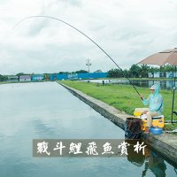 本汀(BenTing)台钓竿裸棍 19调硬轻鲤鱼竿碳素综合竿钓鱼竿