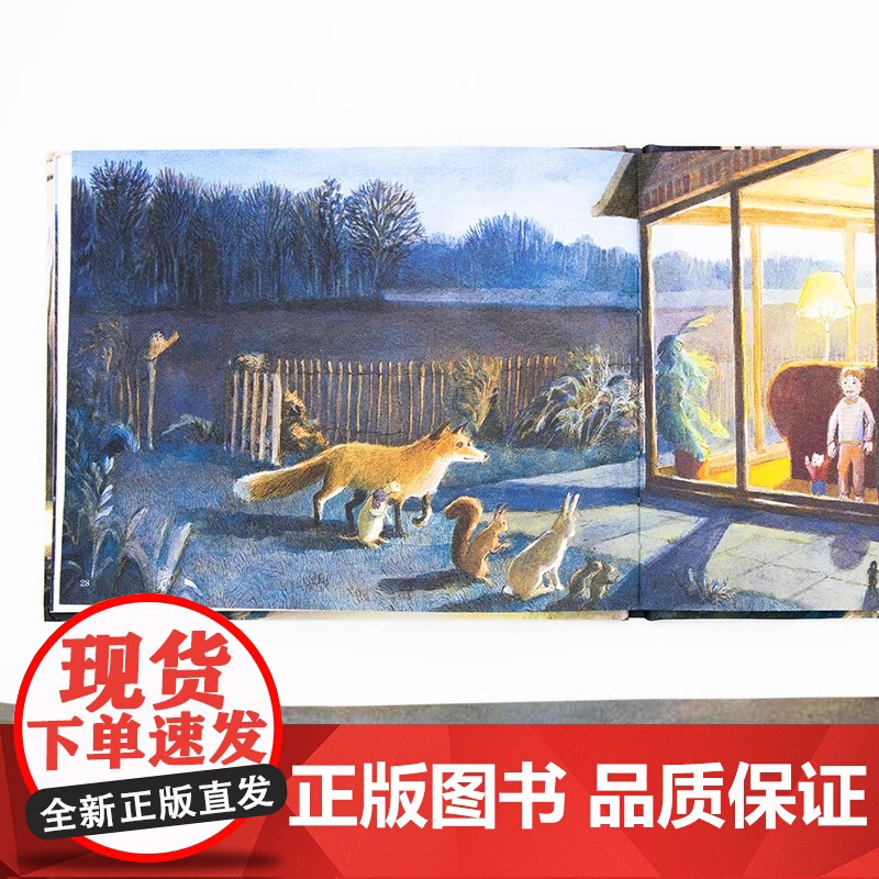 小熊尼诺精装硬壳绘本图画书适合3-6岁幼儿读物睡前故事书亲子阅读青豆书坊正版童书高清大图