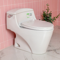 TOTO卫浴家用超漩式冲水智洁釉面节水连体坐便器抽水马桶CW923REB