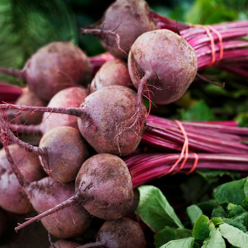 农家新鲜红菜头甜菜根 甜菜头 新鲜蔬菜 5kg报价_参