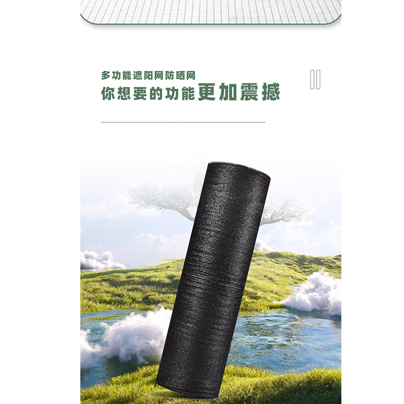 翼澜 遮阳网 10*20m 卷