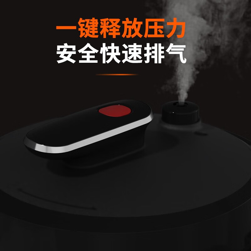 长虹 DYLG-5A01 电压力锅高清大图