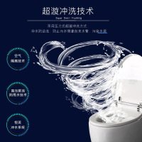 FAENZA法恩莎卫浴智能马桶即热式全自动冲洗家用坐便器多功能座便器F21