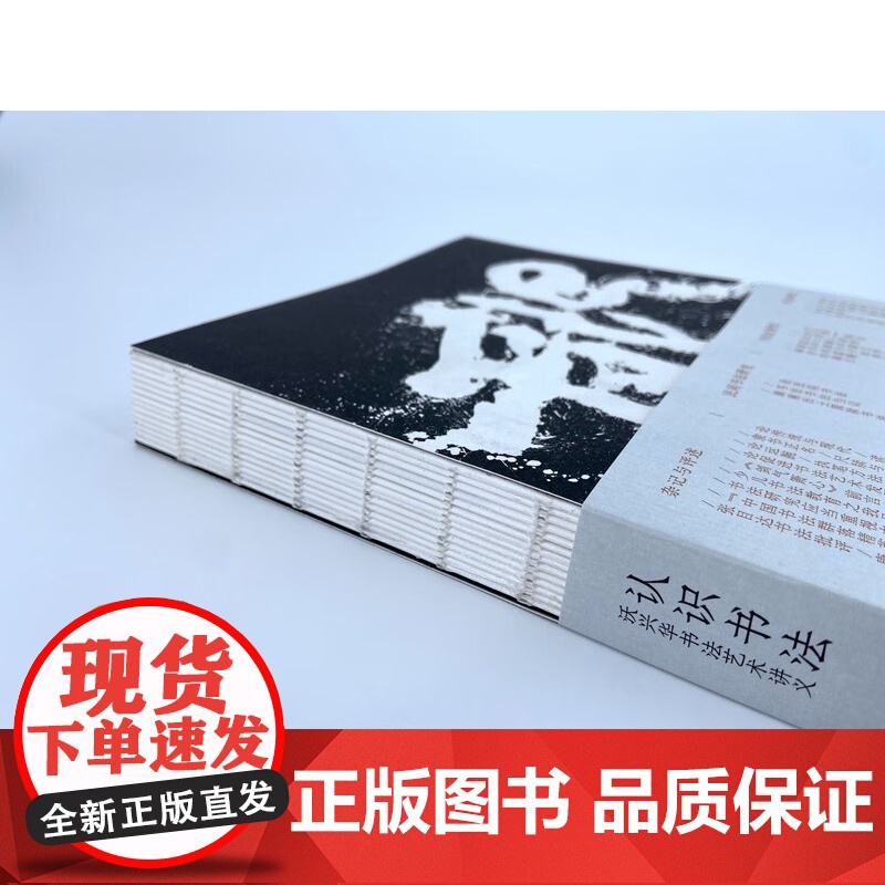 认识书法 沃兴华书法艺术讲义上海古籍出版社书法理论高清大图