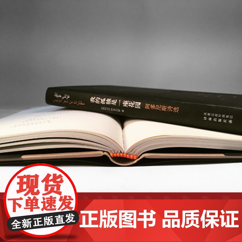 我的孤独是一座花园 阿多尼斯代表作亲笔授权当代阿拉伯诗歌先驱诺贝尔文学奖热门人选收录作品跨越半个世纪译林出版社高清大图