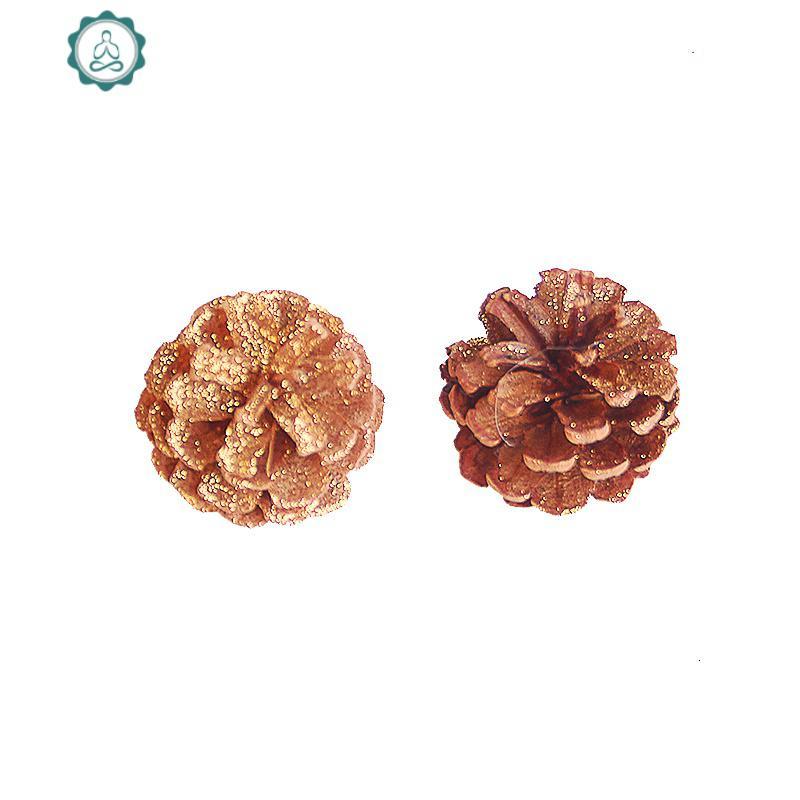 幼儿园环创干树枝松塔手工diy创意原料 封后 油松塔200g10-15个左右 干花包