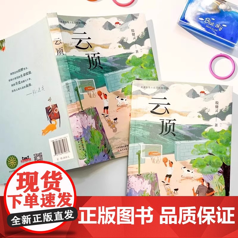云顶 殷健灵著 中国当代儿童文学作家作品 三四五六年级小学生课外阅读书籍新时代青少年成长励志读物生命主题教育 新蕾出版社