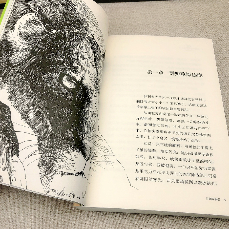 红飘带狮王 [正版]红飘带狮王 沈石溪动物小说大王品藏书系/四五六年级中小学生课外读物/浙江少儿社/全套集系列完整升级版