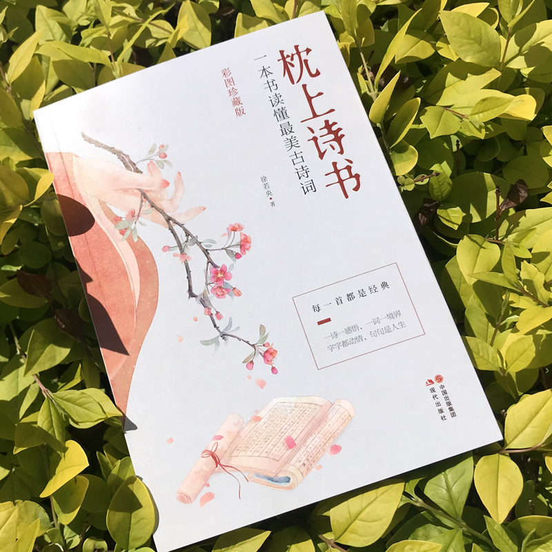 [正版]枕上诗书系列全套4册 中国古诗词排行榜书籍枕上诗书+遇见宋词+遇见唐诗+他们有才亦有爱一诗一词一故事诗词歌赋书高清大图