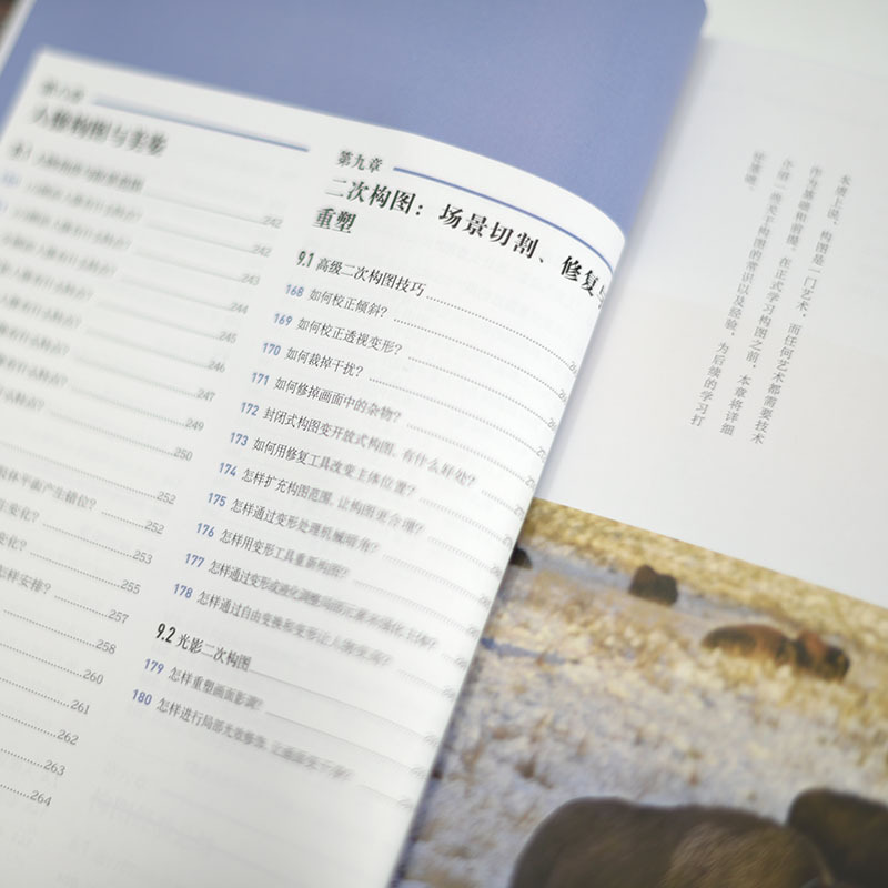 [正版图书]专业摄影师这样拍 摄影构图的180个问答 摄影构图摄影笔记拍摄技巧教程数码单反人像摄影构图教程手机摄影入门教