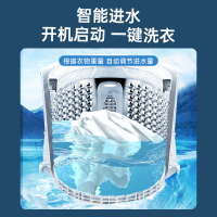 威力10公斤全自动波轮洗衣机 抗菌波轮 家用洗脱大容量 XQB100-10099