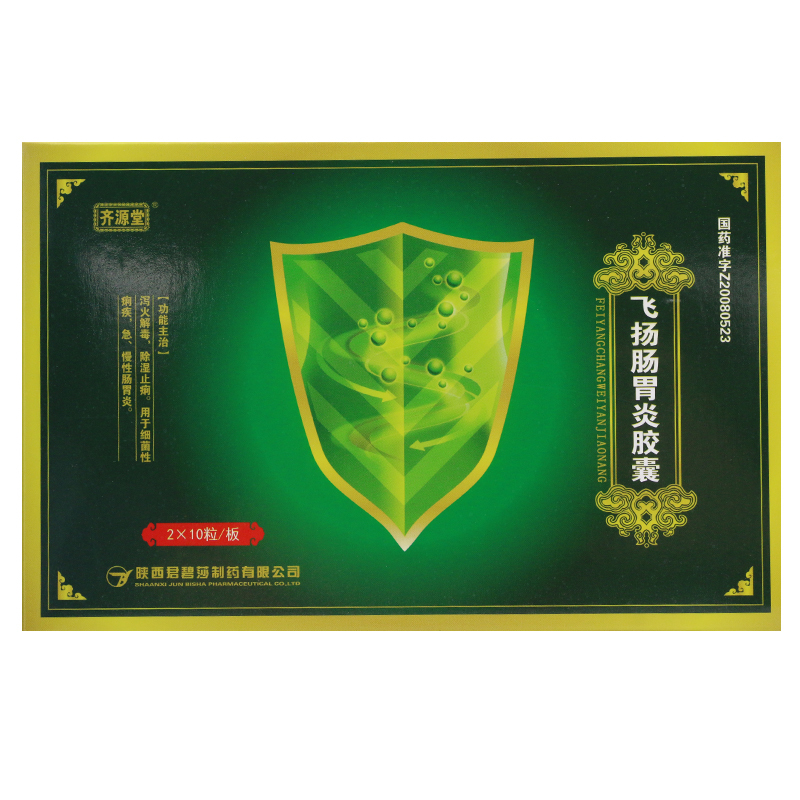 齐源堂飞扬肠胃炎胶囊045g20粒