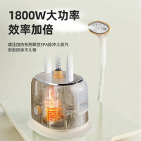 荣事达立式蒸汽挂烫机家用商用衣服手持熨烫机双杆挂烫机