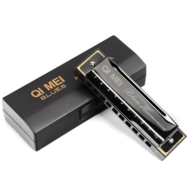 奇美10孔布鲁斯口琴c调十孔成人初学者学生儿童入送父亲节