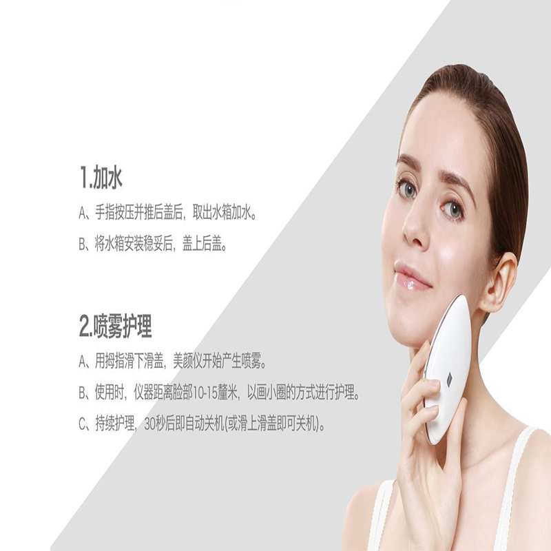 LIFETRONS 励富创 纳米雾化美颜仪 NS-400AS-WH1