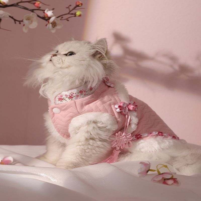猫咪衣服冬季小猫唐装保暖汉服布偶英短猫猫幼猫可爱过年两脚棉衣