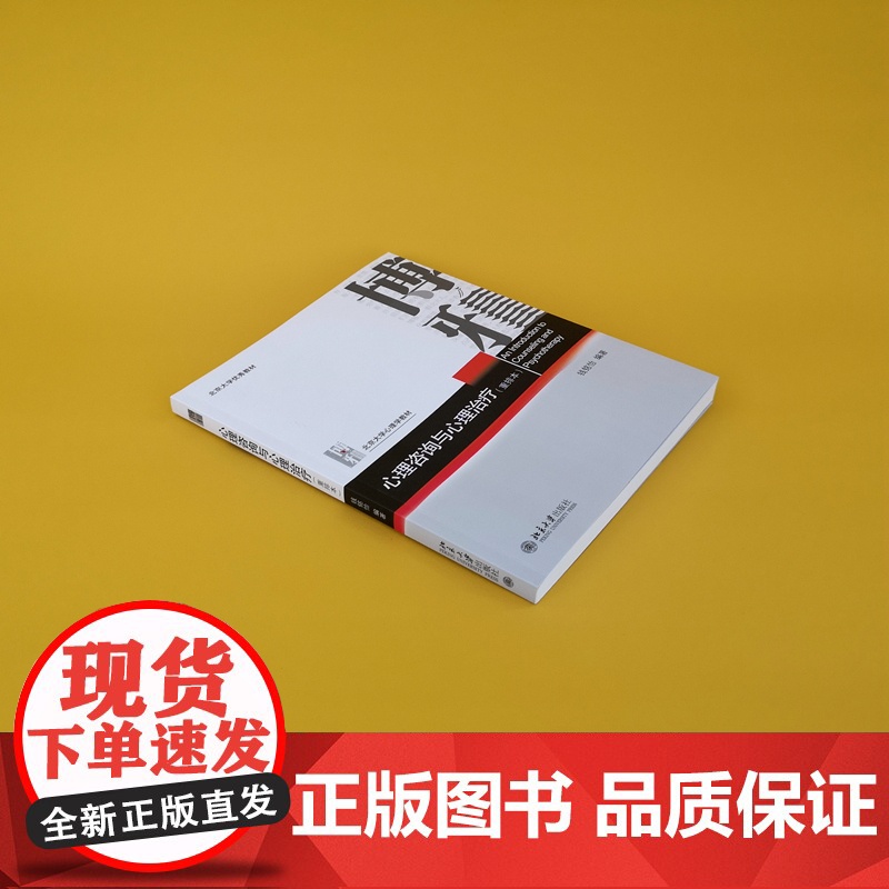 []心理咨询与心理治疗 重排本 钱铭怡著 北京大学出版社 北大心理学教材 心理咨询心理治疗基本原理与方法 正版图书高清大图