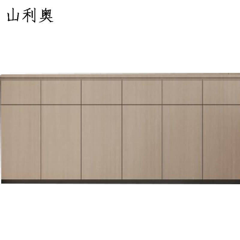 山利奥 定制资料柜 SLA-816 1厘米高清大图