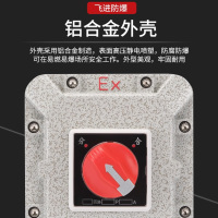 飞进防爆断路器空气开关配电箱控制箱漏电保护空开2P32A带漏电