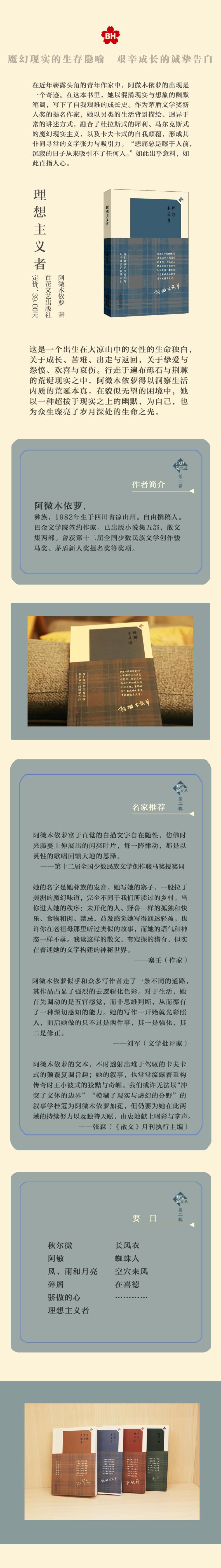 理想主义者