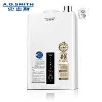 A.O.史密斯燃气热水器12L JSQ24-LSX
