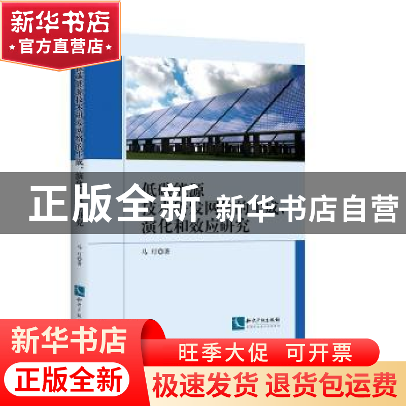正版 低碳能源技术研发网络的生成、演化和效应研究 马玎著 知识高清大图