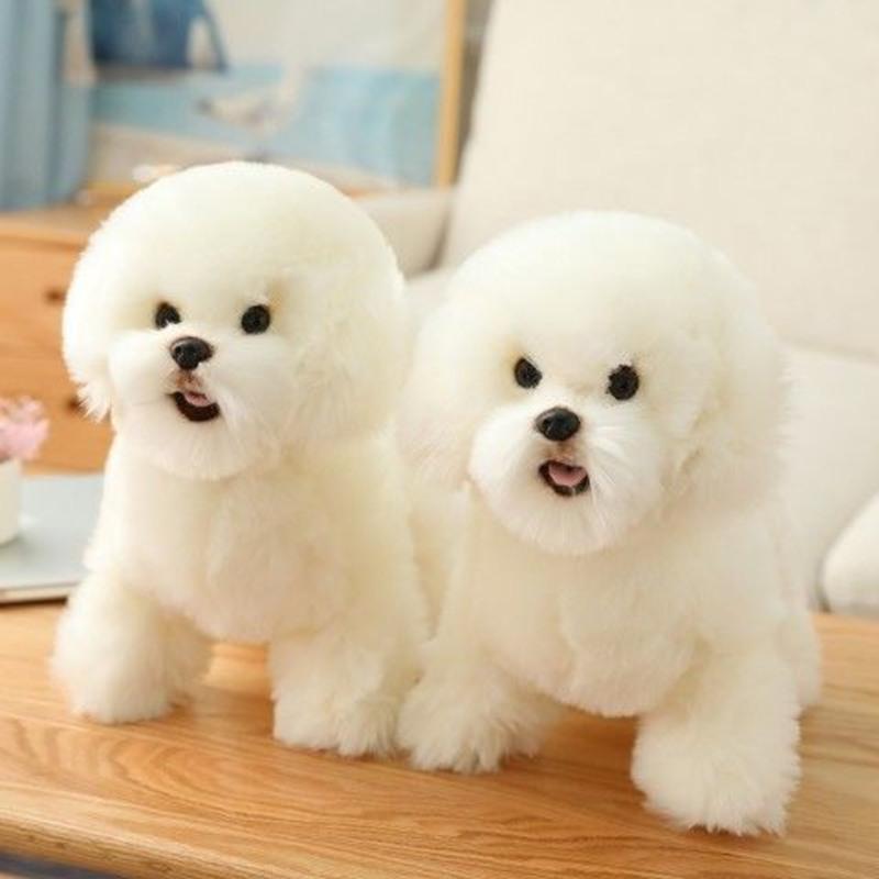 长35厘米宽16厘米高28厘米 韩系比熊幼犬仿真狗狗玩具白泰迪宠物狗狗