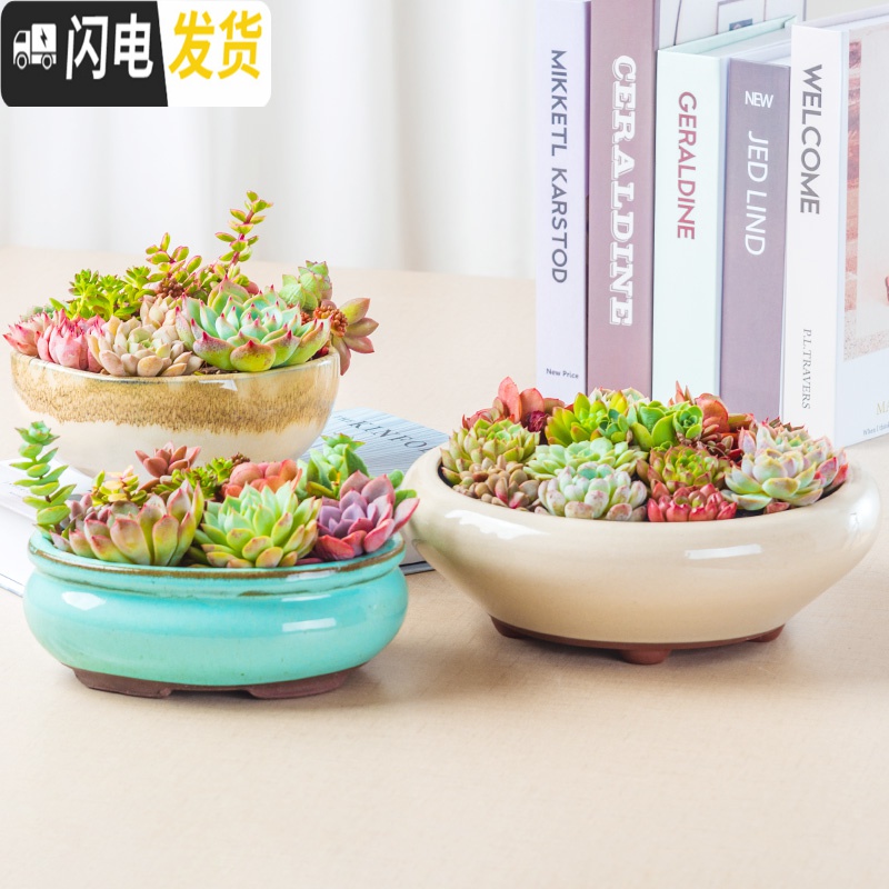 三维工匠大号多肉植物花盆大口径多肉花盆拼盘粗陶中小号花盆陶瓷创意 HP1359 中等花盆容器高清大图