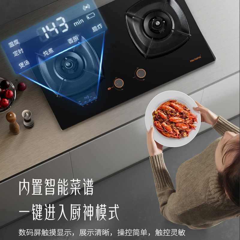 Haotaitai燃气灶JZY-H109液化气4.8kW防干烧定时安全灶双灶防干烧+左灶定时智能烹饪烟灶联动