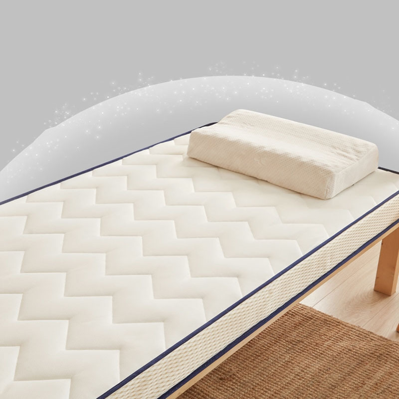 迪玛森床垫软垫宿舍学生单人榻榻米垫子家用褥子硬垫冬季租房专用垫被