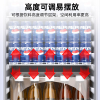 星星(XINGX)立式大型展示柜家用商用大容量冷藏保鲜柜风直冷超市便利店小卖部玻璃门啤酒饮料展示柜LSC-315C